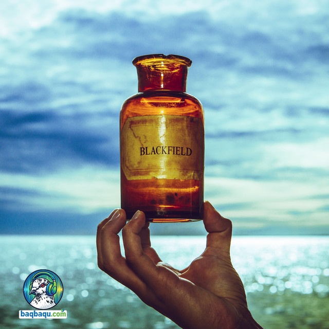 کاور آلبوم Blackfield V