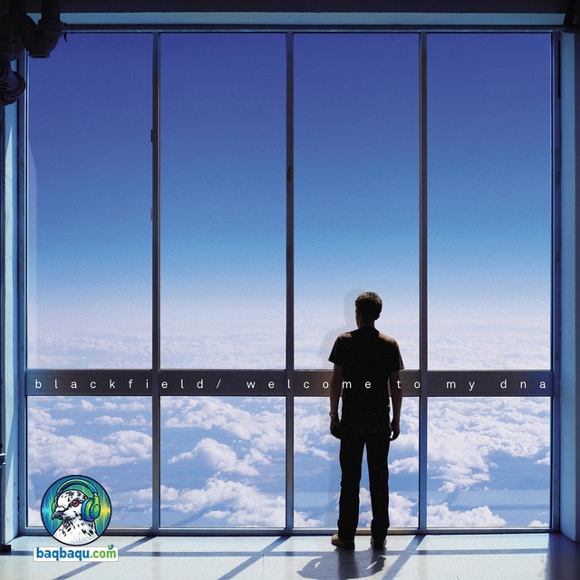 Dissolving with the Night